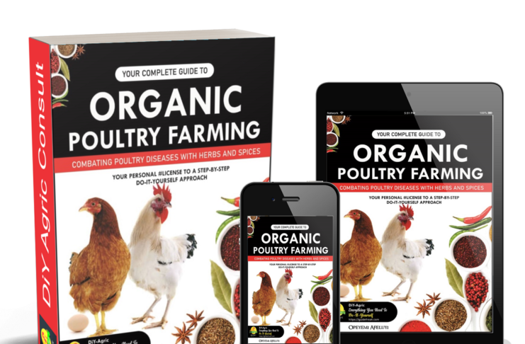 organic poultry farming eBook