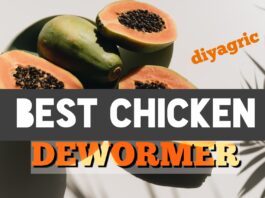 deworm chickens naturally